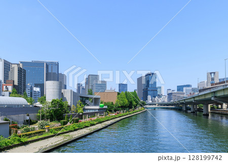 初夏の大阪中之島の風景 (大阪府大阪市北区) 128199742
