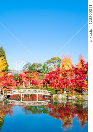 紅葉の永観堂　京都 128200011
