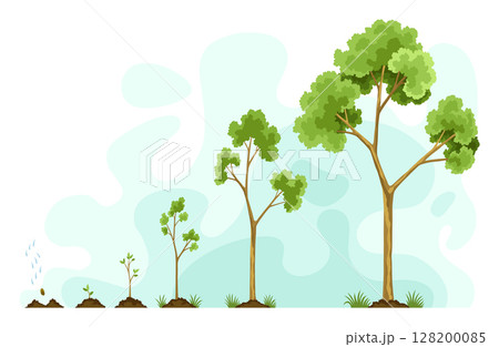 Stages growth of tree from seed. Watering the seeds from cloud rain. Collection of trees from small to large. Green tree with leaf growth steps. Illustration of business cycle development 128200085