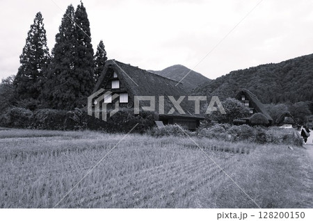 飛騨白川 PA パーキングエリア 東海北陸自動車道 景色 飛騨白川 PA パーキングエリア 東海北陸自動車道 景色 128200150