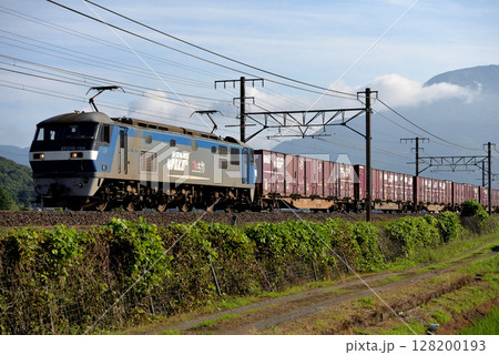 東海道線を走るEF210-164コンテナ貨物列車 128200193
