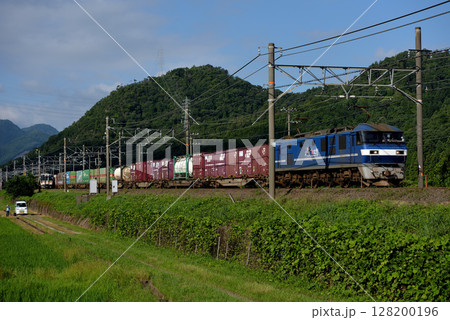 東海道線を走るEF210-120コンテナ貨物列車 128200196