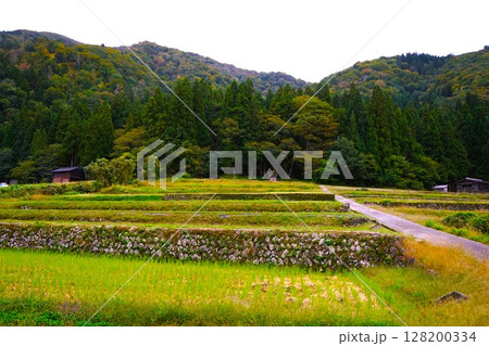 荻町合掌造り集落　世界文化遺産　白川郷　茅葺 128200334