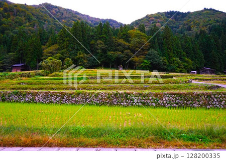 荻町合掌造り集落　世界文化遺産　白川郷　茅葺 128200335