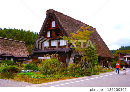 美然ゆめろむ館 荻町合掌造り集落 世界文化遺産 白川郷 茅葺 美然ゆめろむ館 荻町合掌造り集落 世界文化遺産 白川郷 茅葺 128200565