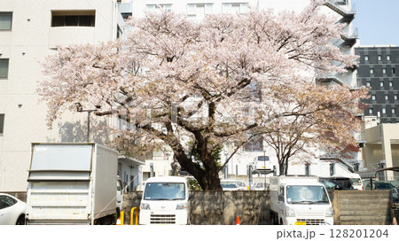 exterior of Sendai Asaichi Morning Market. it is the last morning market in Sendai. 128201204