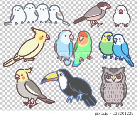 Cute bird illustration set Cute bird illustration set 128201229