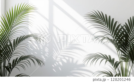 Tropical leaves natural shadow overlay on white texture background, backdrop and mockup, summer seasonal concept 128201246