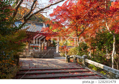 鍬山神社の紅葉。京都府、亀岡市 鍬山神社の紅葉。京都府、亀岡市 128201479