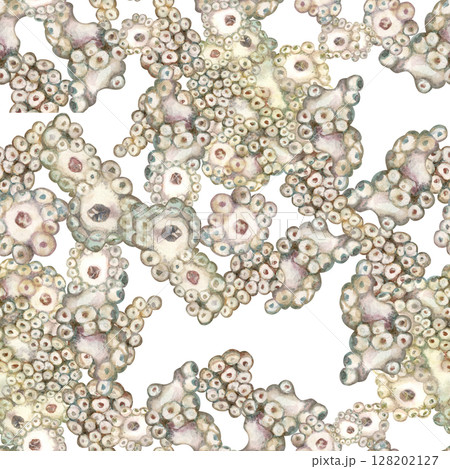 Seamless pattern of underwater sea sponges...のイラスト素材 [128202127] - PIXTA