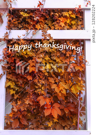 Vibrant autumn leaves in white wooden frame. Thanksgiving greetings 128202224