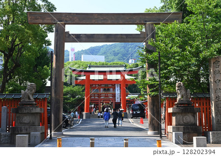神戸市中央区の生田神社参道 神戸市中央区の生田神社参道 128202394