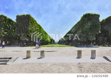 真夏のリュクサンブール公園内の幾何学的（四角）に剪定された木々（オリジナル画像からAI生成） 128202480