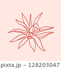 Agave desert plant. Hand drawn exotic Aloe vera succulent 128203047