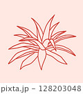 Agave desert plant. Hand drawn exotic Aloe vera succulent 128203048