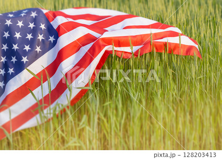 The American flag gently drapes over a wheat field, symbolizing unity, agriculture, and national pride in the heartland of the United States 128203413