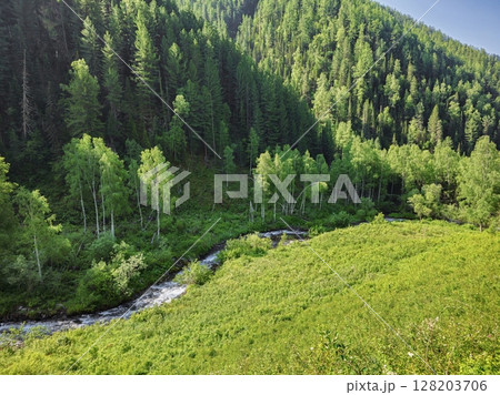 Meadow with stream forest background. 128203706