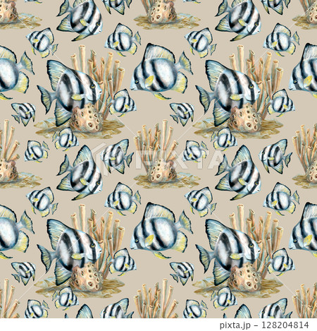 Seamless pattern of watercolor tropical black-white striped fish, beige coral sea sponges in natural colors on cream background for sea design, bedding, blanket, wallpaper, packaging, diving crafts Seamless pattern of watercolor tropical black-white striped fish, beige coral sea sponges in natural colors on cream background for sea design, bedding, blanket, wallpaper, packaging, diving crafts 128204814