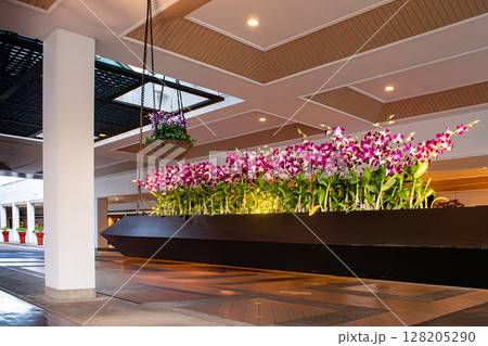 素敵なエントランス 128205290