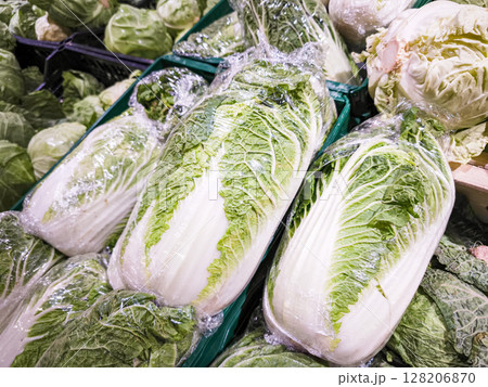 Freshly wrapped napa cabbage displayed in a grocery store showcasing vibrant green leaves and crisp texture, ideal for healthy recipes and cooking inspiration concept Freshly wrapped napa cabbage displayed in a grocery store showcasing vibrant green leaves and crisp texture, ideal for healthy recipes and cooking inspiration concept 128206870
