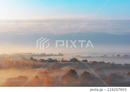 Autumn forest landscape with morning fog. High angle. Air view 128207603
