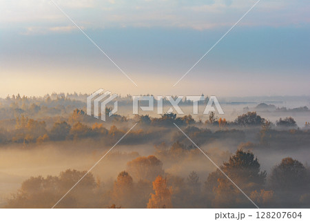 Autumn forest landscape with morning fog. High angle. Air view Autumn forest landscape with morning fog. High angle. Air view 128207604