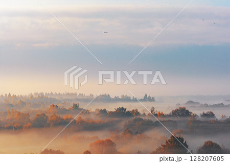 Autumn forest landscape with morning fog. High angle. Air view 128207605