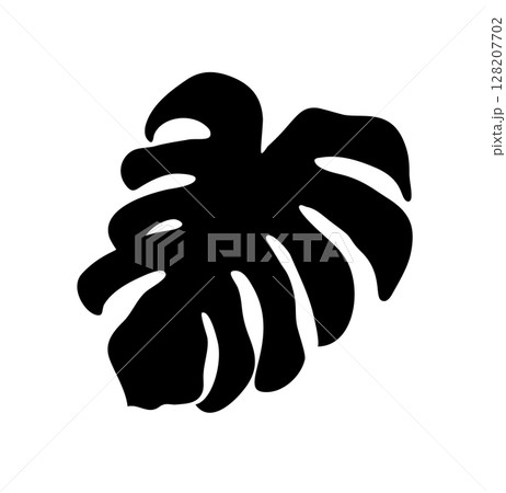 Monstera deliciosa vector silhouette displaying intricate leaf pattern, revealing bold tropical botanical design against contrasting background Monstera deliciosa vector silhouette displaying intricate leaf pattern, revealing bold tropical botanical design against contrasting background 128207702