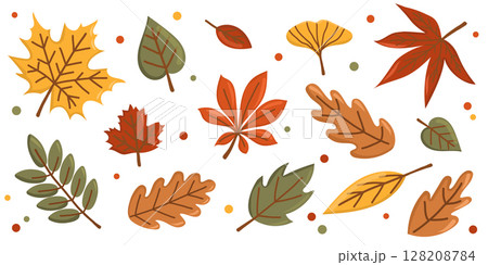 Set of colorful autumn leaves. Flat vector illustration with maple, oak, birch, chestnut leaves. Seasonal autumn design elements isolated on white background. Horizontal botanical banner. 128208784