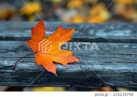 An exquisite orange maple leaf resting on a rustic wooden bench, capturing the essence of autumn's beauty. 128210706