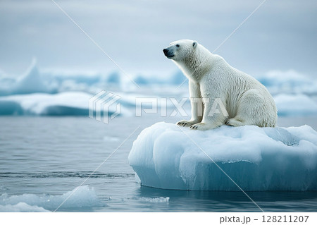 A polar bear sits on an ice floe in the Arctic sea among melting icebergs. Generated by artificial intelligence 128211207
