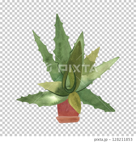 Aloe in a ceramic pot. Houseplant for alternative medicine. Succulent. Plant growing is a popular hobby. Isolated watercolor illustration. Aloe in a ceramic pot. Houseplant for alternative medicine. Succulent. Plant growing is a popular hobby. Isolated watercolor illustration. 128211853