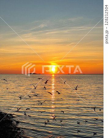 Scenic sunset over the sea. The sun sets on the water. The sky is painted with bright colors. Seagulls fly over the water. Summer evening. Sunset beach. Vertical photo. 128212504