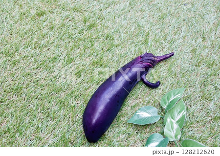 芝生に置かれたユニークな形の天狗茄子 芝生に置かれたユニークな形の天狗茄子 128212620