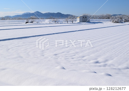 東北地方の雪景色 山形県庄内 128212677