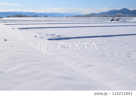 東北地方の雪景色 山形県庄内 東北地方の雪景色 山形県庄内 128212681