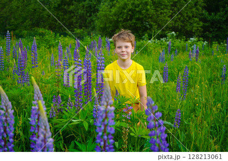 A joyful boy in a yellow T-shirt stands in a field of lupines, smiling happily. The vibrant flowers and bright sky create a cheerful, lively atmosphere perfect for stock images. The scene captures 128213061