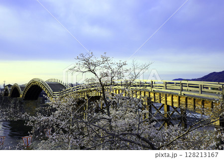 錦帯橋の桜8351 錦帯橋の桜8351 128213167