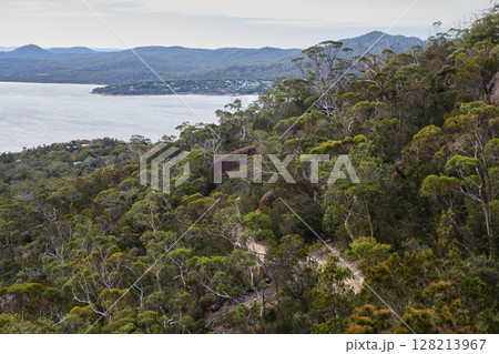 View from the Coles Bay Lookout - Freycinet Peninsula View from the Coles Bay Lookout - Freycinet Peninsula 128213967