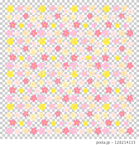 かわいいコスモスのパターンイラスト 128214115
