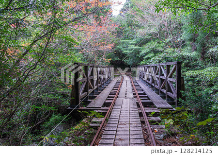 紅葉色づく木々　トロッコ橋梁　屋久島国立公園(秋 128214125