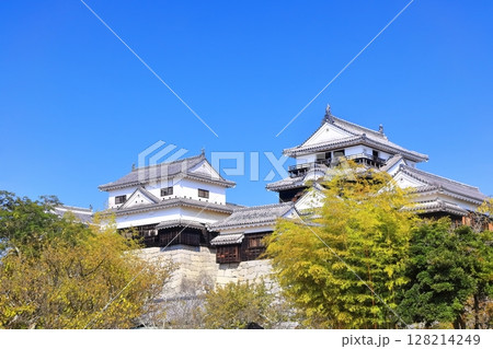 【愛媛県】秋晴れの松山城天守（現存12天守） 128214249