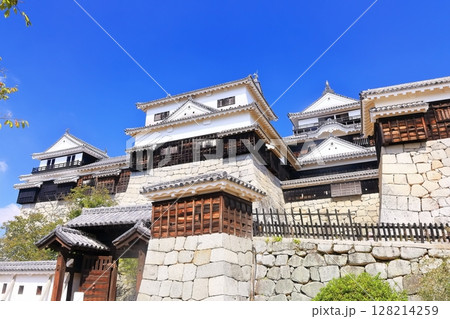 【愛媛県】秋晴れの松山城天守（現存12天守） 128214259