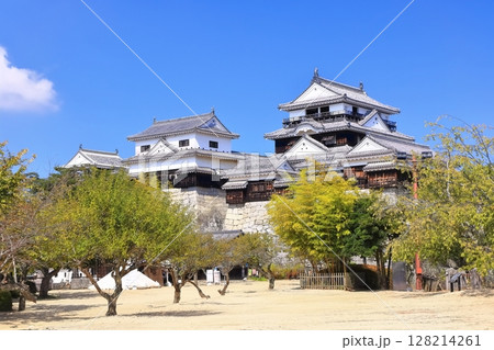 【愛媛県】秋晴れの松山城天守（現存12天守） 128214261