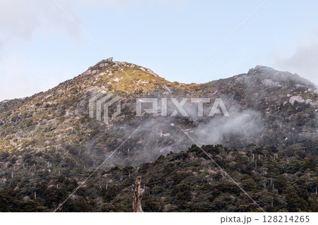 雲上の楽園 黒味岳 世界自然遺産屋久島(冬 雲上の楽園 黒味岳 世界自然遺産屋久島(冬 128214265