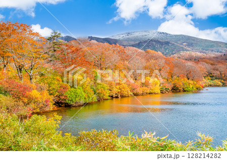 秋田　紅葉に染まる須川湖と冠雪の栗駒山 128214282