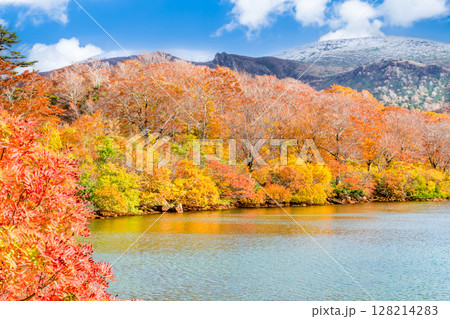 秋田　紅葉に染まる須川湖と冠雪の栗駒山 128214283