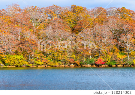 秋田　紅葉に染まる須川湖 128214302