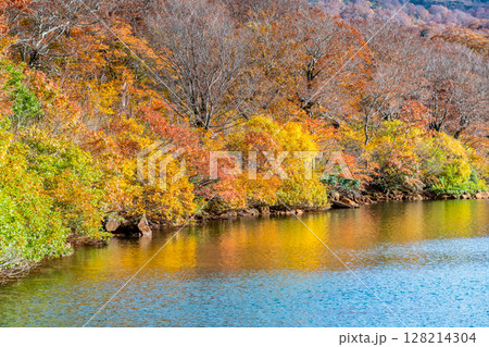 秋田　紅葉に染まる須川湖 128214304