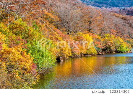 秋田　紅葉に染まる須川湖 128214305